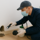 rid of mice