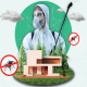 get rid of spiders