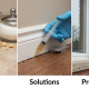 Pest Control Safehome Pest Services
