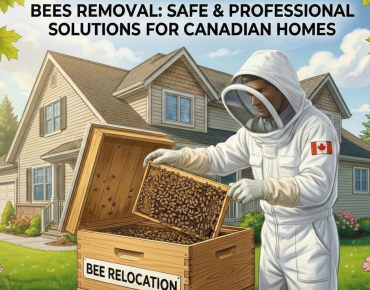 bees removal, Pest Control Safehome Pest Services